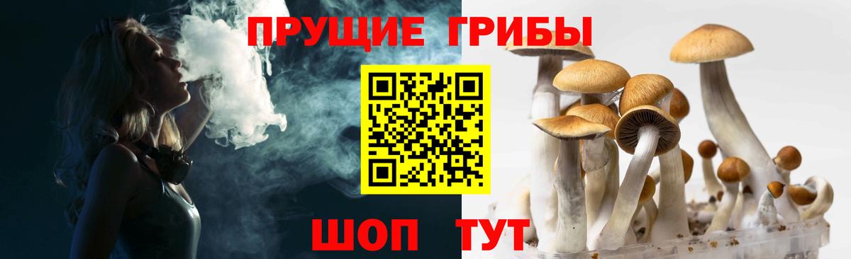 Галлюциногенные грибы Psilocybine cubensis  продажа наркотиков  Галлюциногенные грибы Magic Shrooms  Баксан  Вход с VPN 